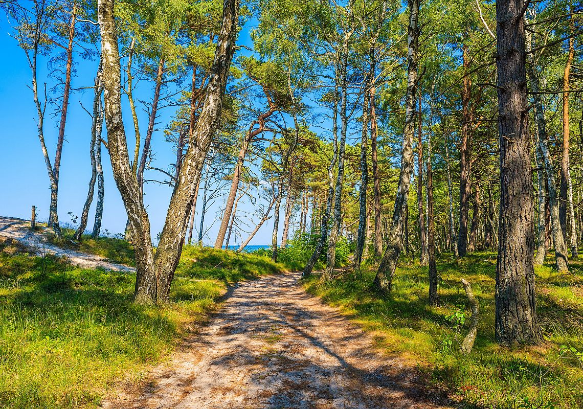 Niebieski Szlak Turystyczny