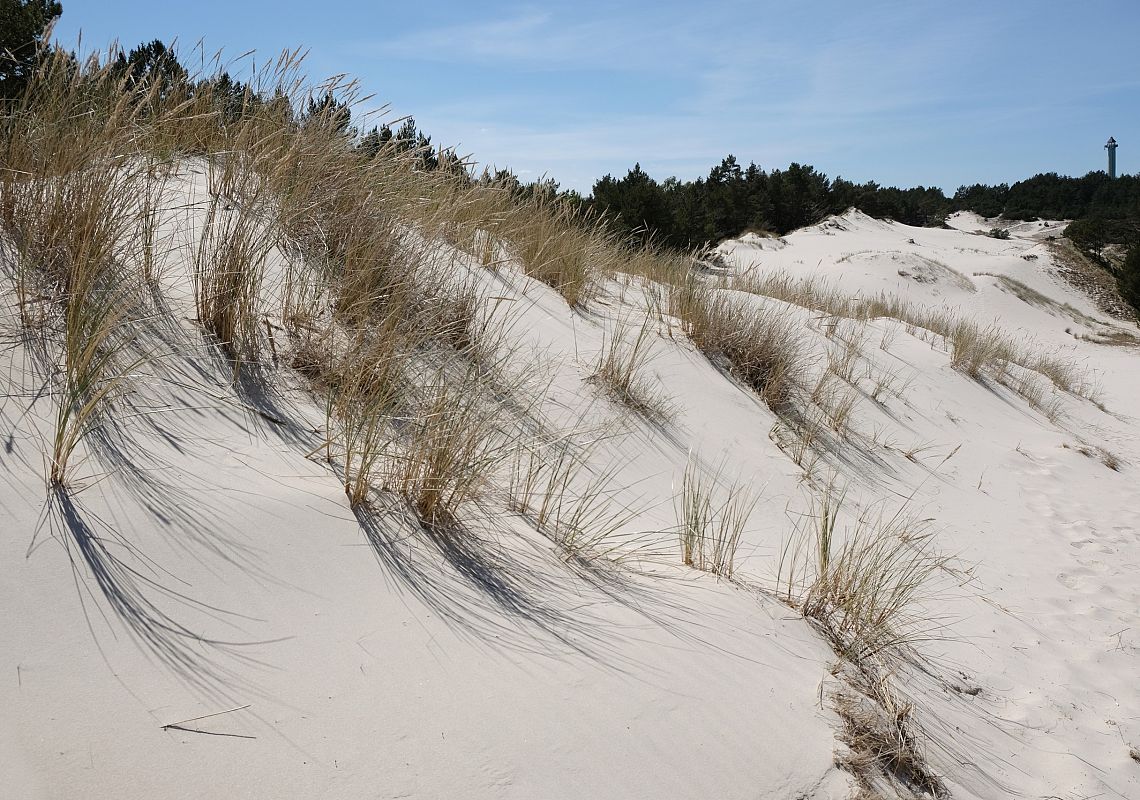 Biała Wydma w Lubiatowie