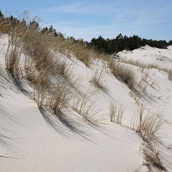 The White Dune in Lubiatowo